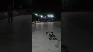 roller papagayo
