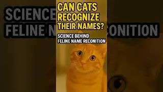 Can cats recognize their names?