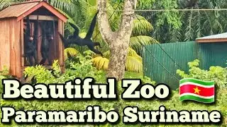 Paramaribo Dierentuin | Suriname 🇸🇷