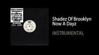 Shadez Of Brooklyn - Now A Dayz（INSTRUMENTAL）
