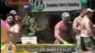 osos gay 001