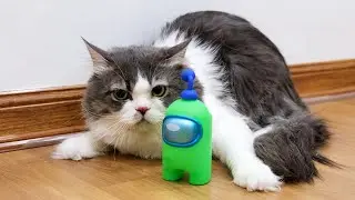 Cats Vs Among Us