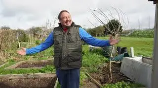 Take a tour of my Allotment in March