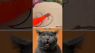 Bombastic cat shocking🙀 reaction #bombastic #cat #reaction