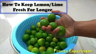 How To Keep Lemon or Lime Fresh For Longer ( With Real Experiment)