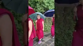 Tibetan Buddhist monk in India 📍🏔️ Dharamshala ❤️ Mcleodganj 🏔️