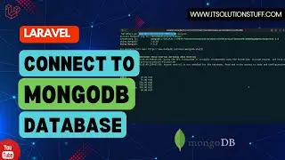 Connect MongoDB to Laravel App in Minutes