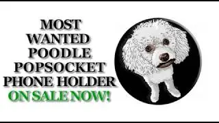 Poodle PopSocket Holder Mount Car A - PopSockets Grip and Stand for Phones and Tablets