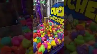 Mini Rubber Duck Claw Machine 🐥 #shorts