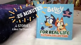 🧡💙 BLUEY STORIES - 25 Minute Read Aloud! - Good Night Fruit Bat / The Creek / Bob Bilby / The Beach