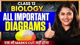 Class 12 Biology All Important Diagrams - One Shot | CBSE Board Exam 2026 🔥