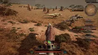 2 pycnos n dasp vs the same rexes
