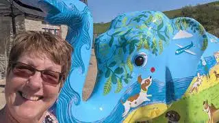 Stampede by the Sea: West Dorset, Spring 2025