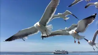 Mer Du Nord / Noordzee