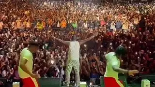Davido Shutdown Budweiser Arena Live in Toronto | Timeless Concert|  15/07/23