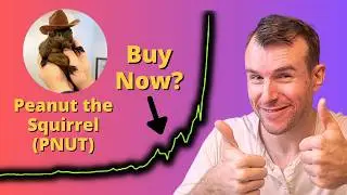 How High Can PNUT Go? 🤩 Peanut the Squirrel Crypto Token Analysis