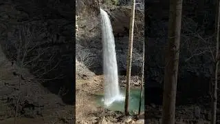 Wild waterfall in Tennessee #travel #tennessee #waterfall #fyp #shorts
