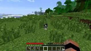 Minecraft Mobs: Ocelots and Cats