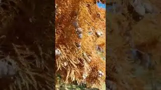 Columbus Nebraska Oto&ntilde;o 2021