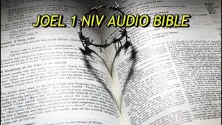 JOEL 1 NIV AUDIO BIBLE(with text)