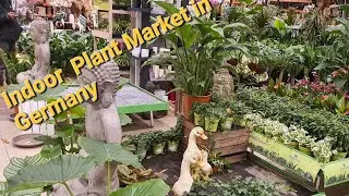 [ 4K🇩🇪] Indoor Plants Market in Germany🪴.Winter time's indoor plants Market tour.#bauhaus