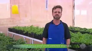 HOPS BRASIL no TV RECORD !! 