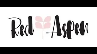 Red Aspen $29 Holiday Hustle 2025 Business Kit