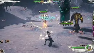 MobiusFF- MP- Zalera X solo with Ascetic