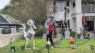 Halloween Rooster Skeleton, Monster, Pumpkins, Cemetery, Cats & Thumbs Up Cross Seminole Trail! 