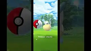 Catching Pelipper in Pok&eacute;mon go (caught by a failure)