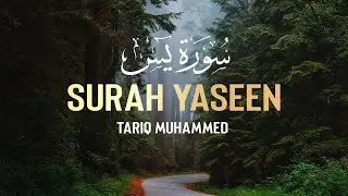 Lofi theme quran recitations to listen to, relaxing quran with lofi&nbsp; #Quranliverecitation