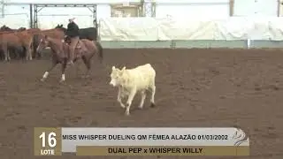 LOTE 16 - MISS WHISPER DUELING