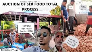 PRAWNS & FISHES AUCTION IN PARADIP // Fishing Harbour Paradip, Nehru Bangla // Sambalpuri Vlogs