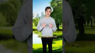 Why You You Should Never Trust Trains (niche Australian content)