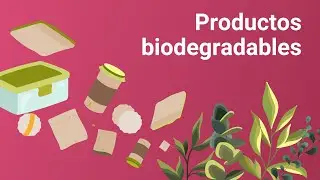 Productos biodegradables