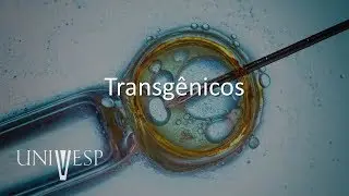 Tópicos Avançados em Biologia - Aula 06 - Transgênicos
