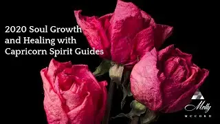 2020 Soul Growth and Healing with Capricorn Spirit Guides ~ Podcast