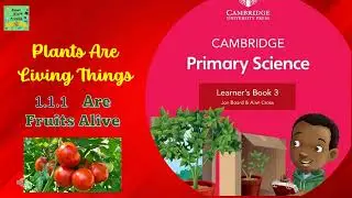 Cambridge primary Grade3 science |Plants are living things| Are fruits Alive or not Alive?