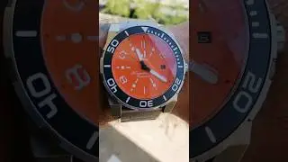 Duzu Ningaloo on my wrist once again #shorts
