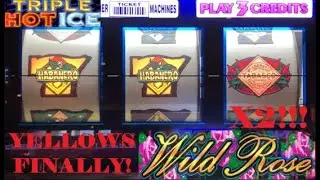 TRIPLE HOT ICE + WILD ROSE + TABASCO SLOT PLAY! EPIC RUN! BIG WINS! BACK TO BACK! @igt