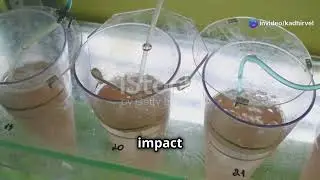 Viral Safety in mAbs  Inactivation & Filtration Explained