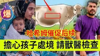 米娜担心孩子处境，哈希姆催促后续，请兽医查看母牛分娩情况伊朗女人米娜纪录片最新后续