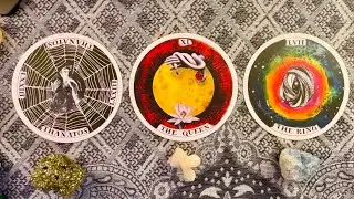 🔮 THEIR CURRENT FEELINGS & INTENTIONS 🔮 Deep dive into what’s up with your person ✨ PICK A CARD 🤍