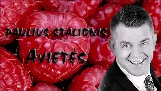 Paulius Stalionis - &bdquo;Avietės