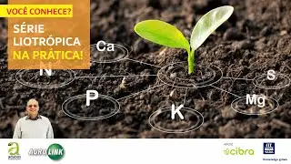 #209 - NA PRÁTICA - SÉRIE LIOTRÓPICA