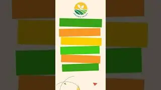 Organic Valley Pakistan
