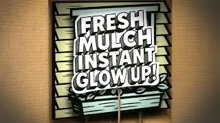 Fresh Mulch, Instant Glow-Up! Landscaping Riverview Fl | Top Lawn Pros |