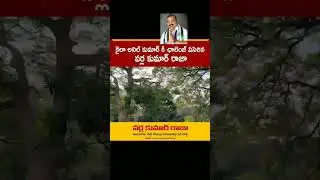 #appolitics #pamarru #ysrcp #nimmakuru #tdpvsycp #andhrapradesh #tv5 #andhrapolitics #kumarraja