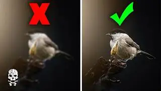Freeze Motion Photography : How To Take Pictures Of Fast Moving Subjects