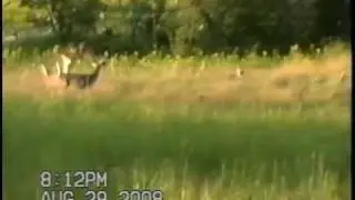 Michigan Deer Hunting, Michigan Deer Hunts, Cherry Creek Farm